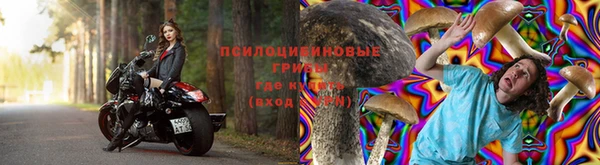 гидропоника Куйбышев
