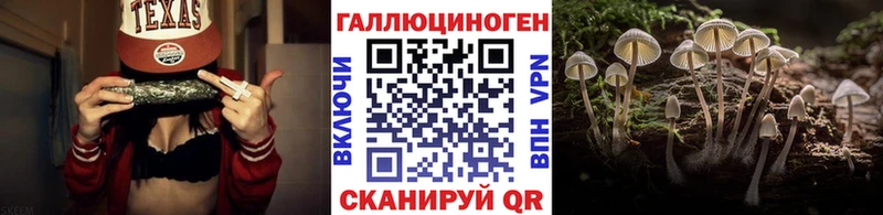 Купить  Сергач  Галлюциногенные грибы мицелий 